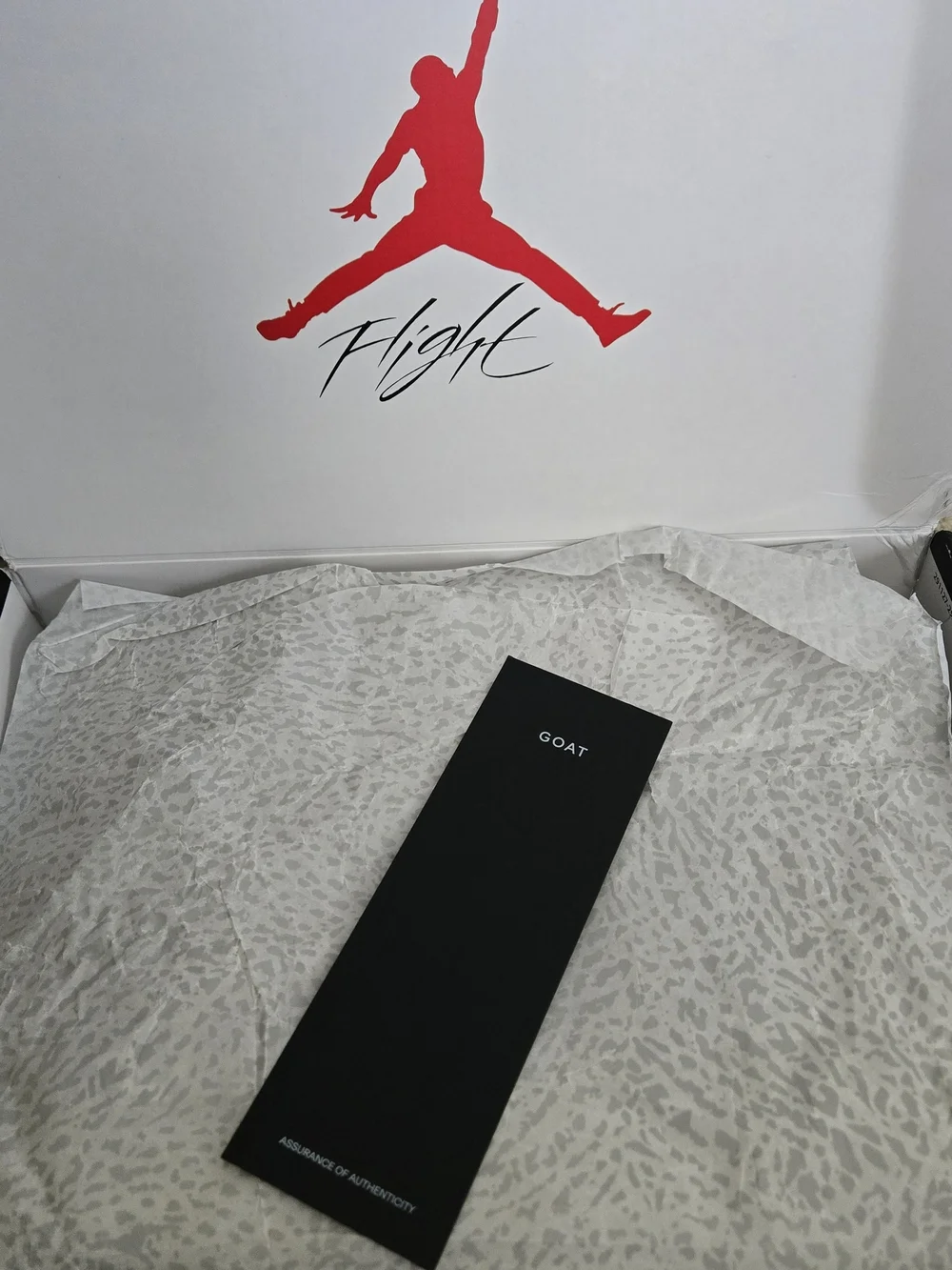 Jordan iconic silhouette